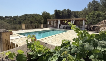 Resa Estates Ibiza koop  finca sale san augustin pool and garden.jpeg